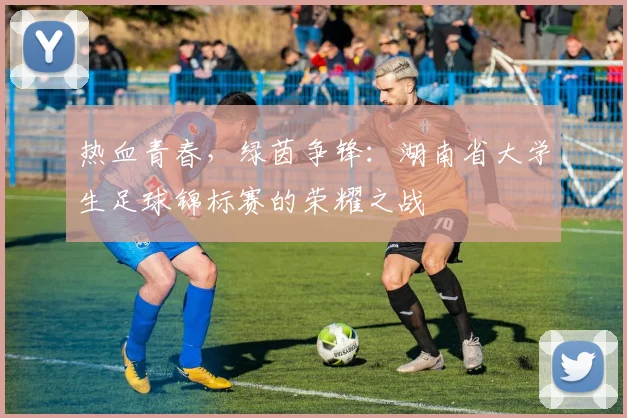 热血青春,绿茵争锋:湖南省大学生足球锦标赛的荣耀之战