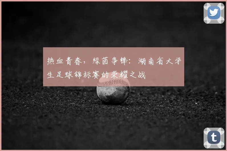 热血青春，绿茵争锋：湖南省大学生足球锦标赛的荣耀之战